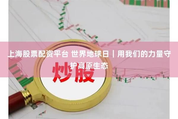 上海股票配资平台 世界地球日｜用我们的力量守护高原生态